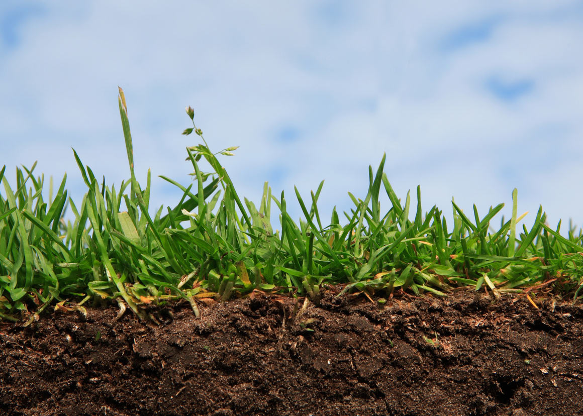 Збереження ґрунтової вологи для майбутнього врожаю – рекомендації від ННЦ «Інститут ґрунтознавства та агрохімії імені О.Н. Соколовського»